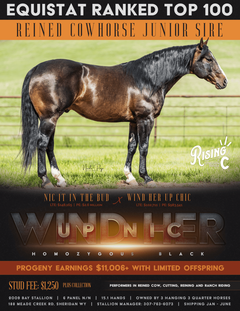 Wind Her Up Nic Stallion at Stud Rising C Stallion Station