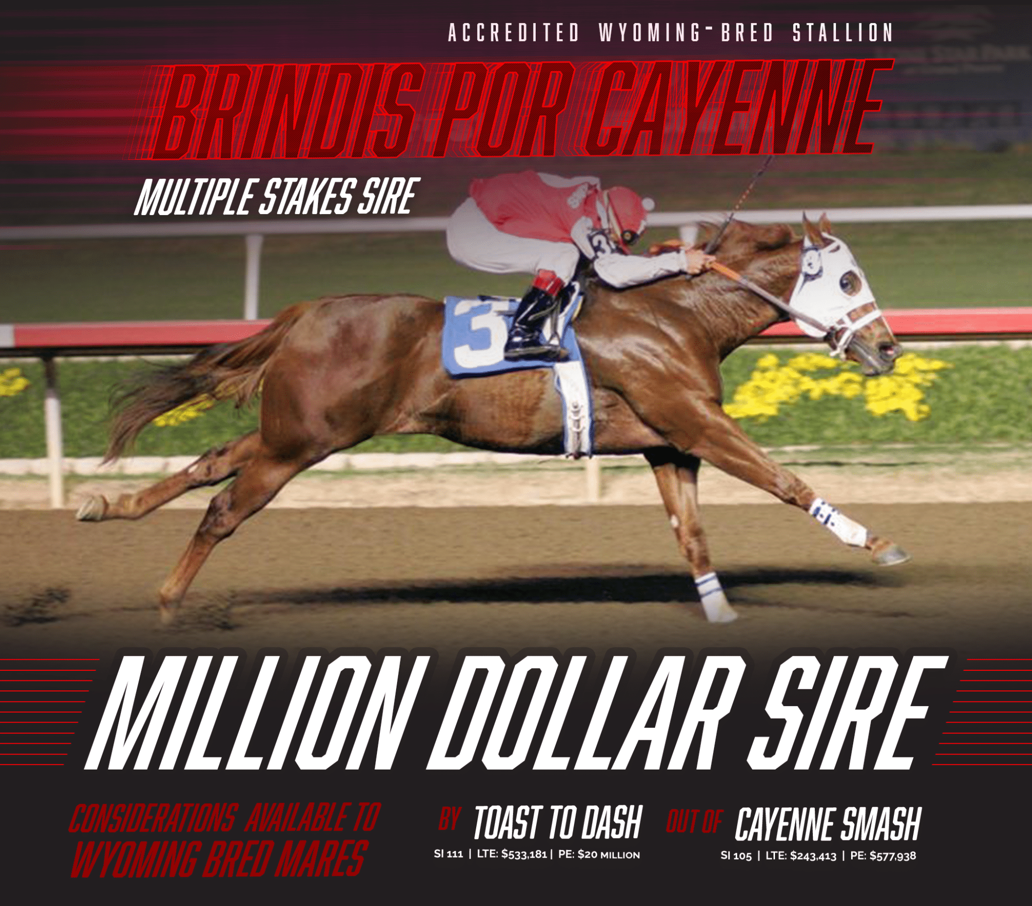 Brindis Por Cayenne Joins the Million-Dollar Sire Club
